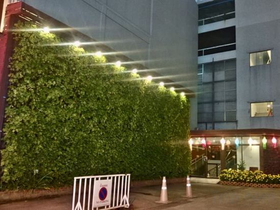 Фото Royal Lanna Hotel