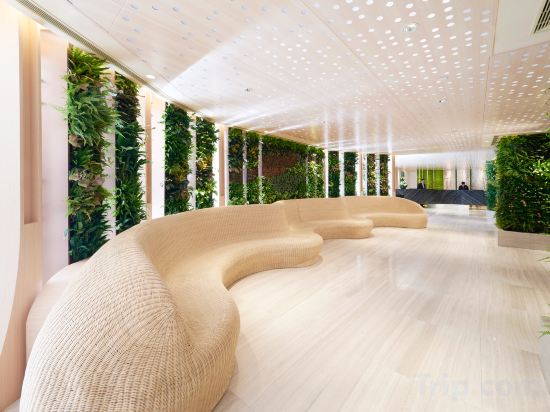 Фото 63355263603