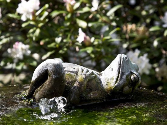 Фото München Palace