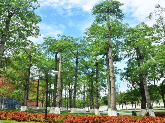 Фото Guangzhou Baiyun International Convention Center LN Dongfang Hotel