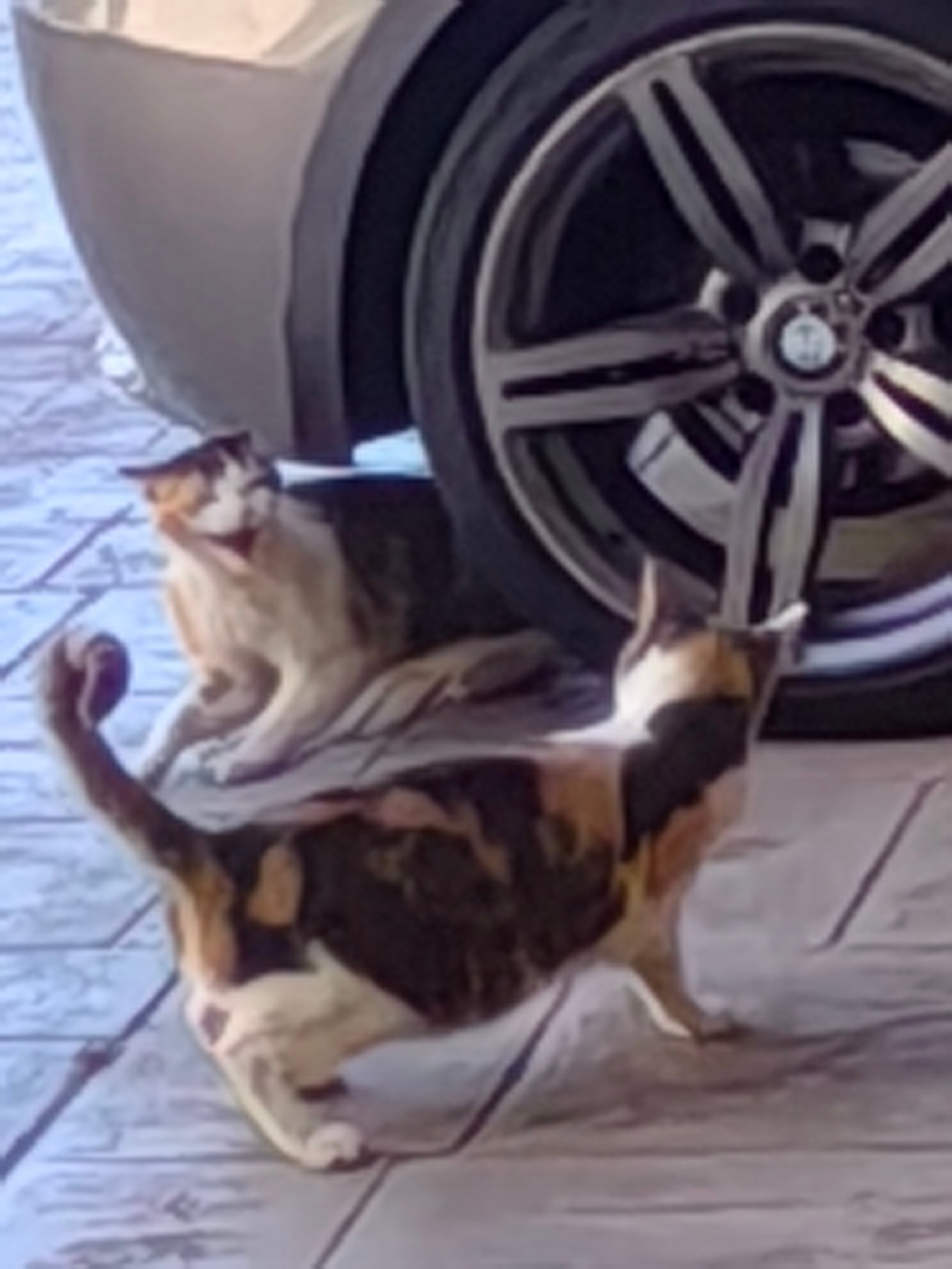 Фото Aphrodite Sands Resort