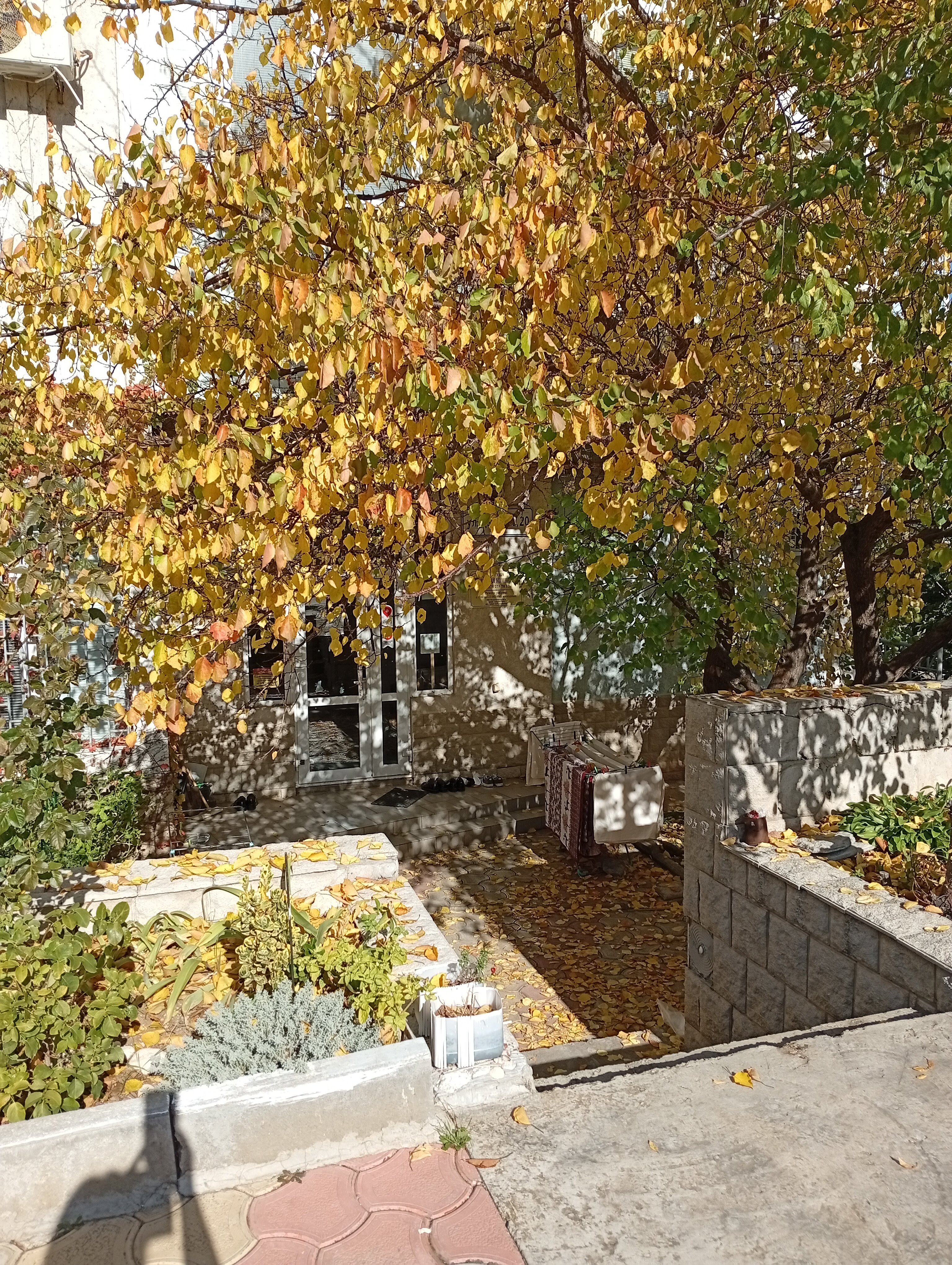 Фото Приятная компания