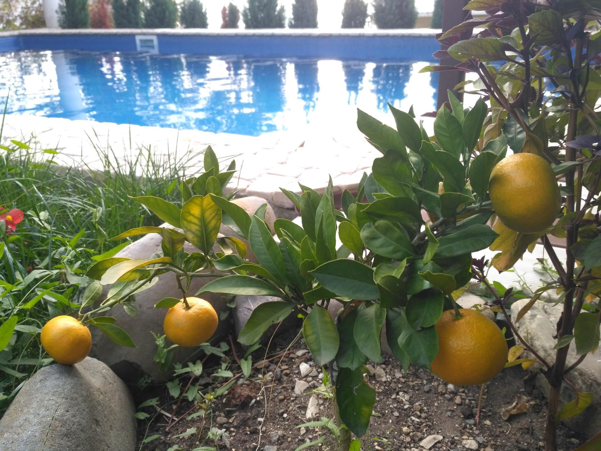 Фото Вилла Море у Леса