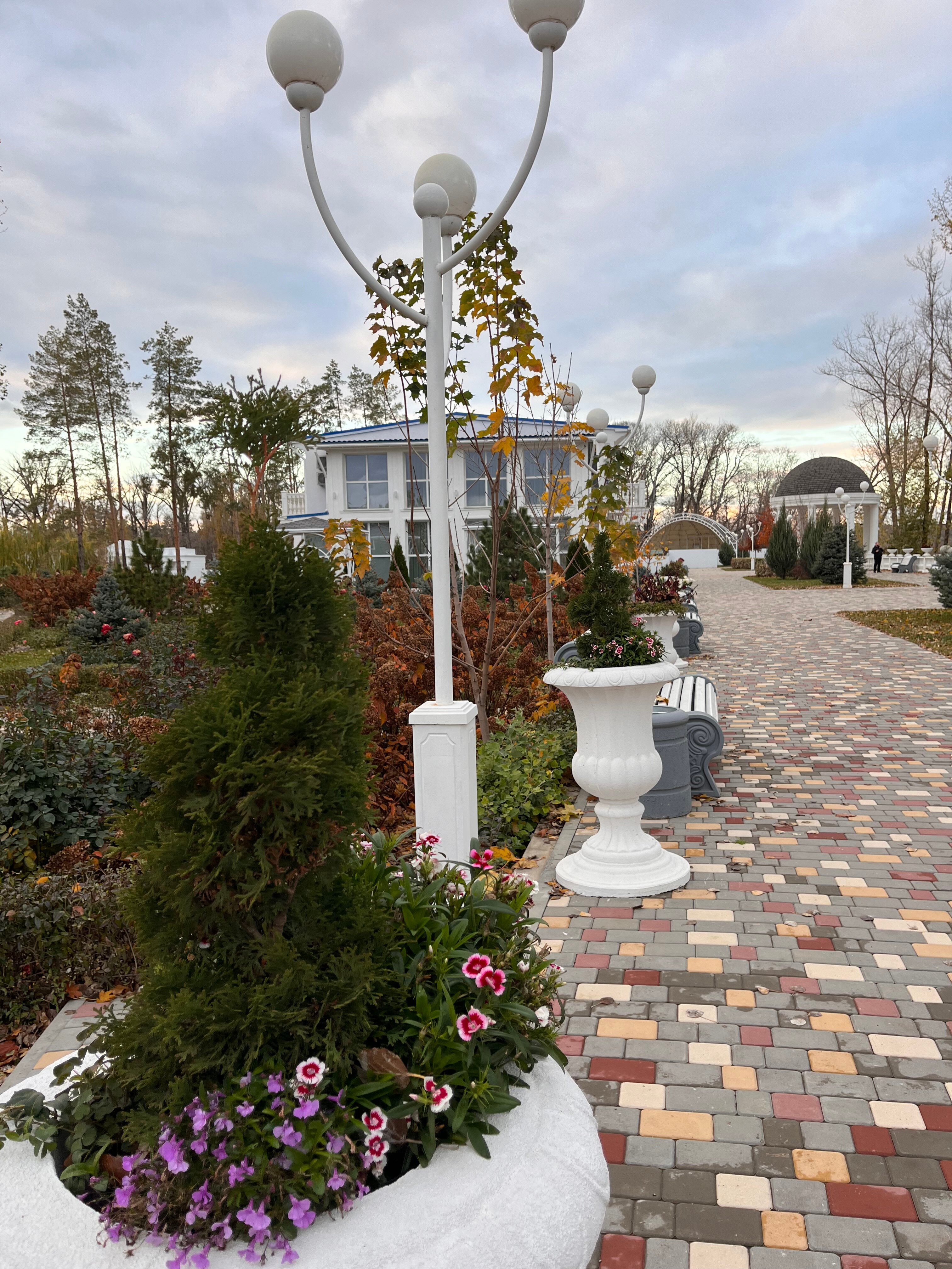 Фото Жемчужина