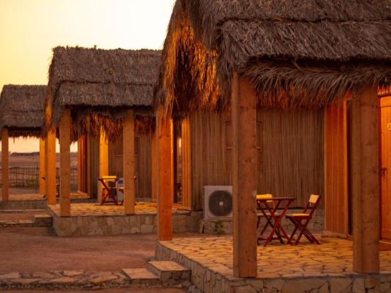 Фото 45382531026