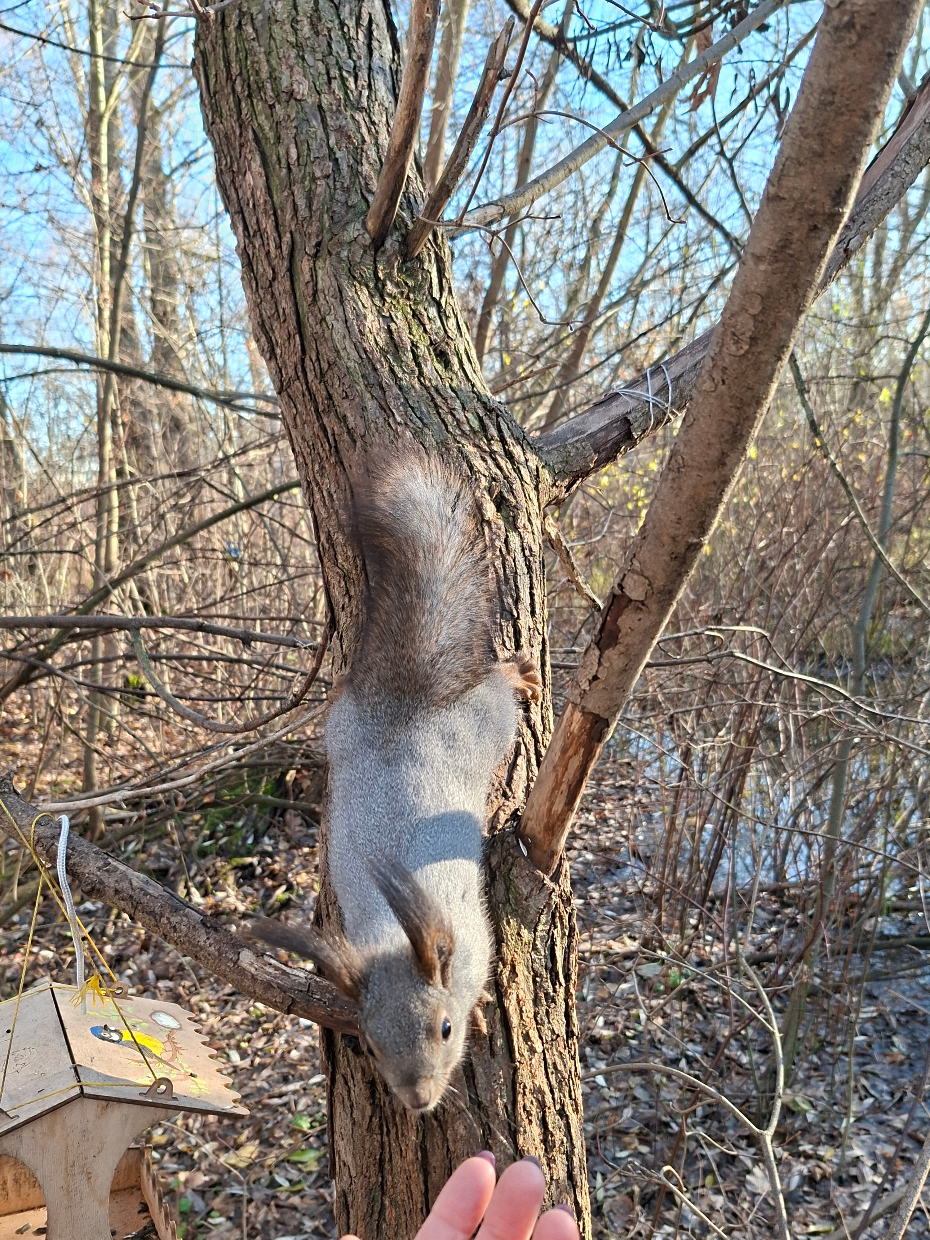Фото Покровское Стрешнево