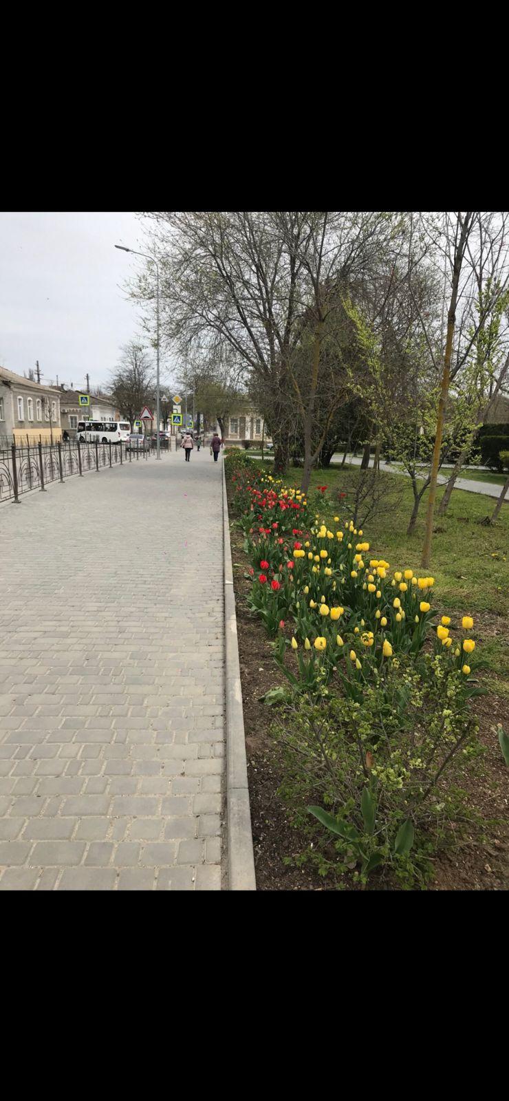 Фото Гостевой дом улице Бартенева