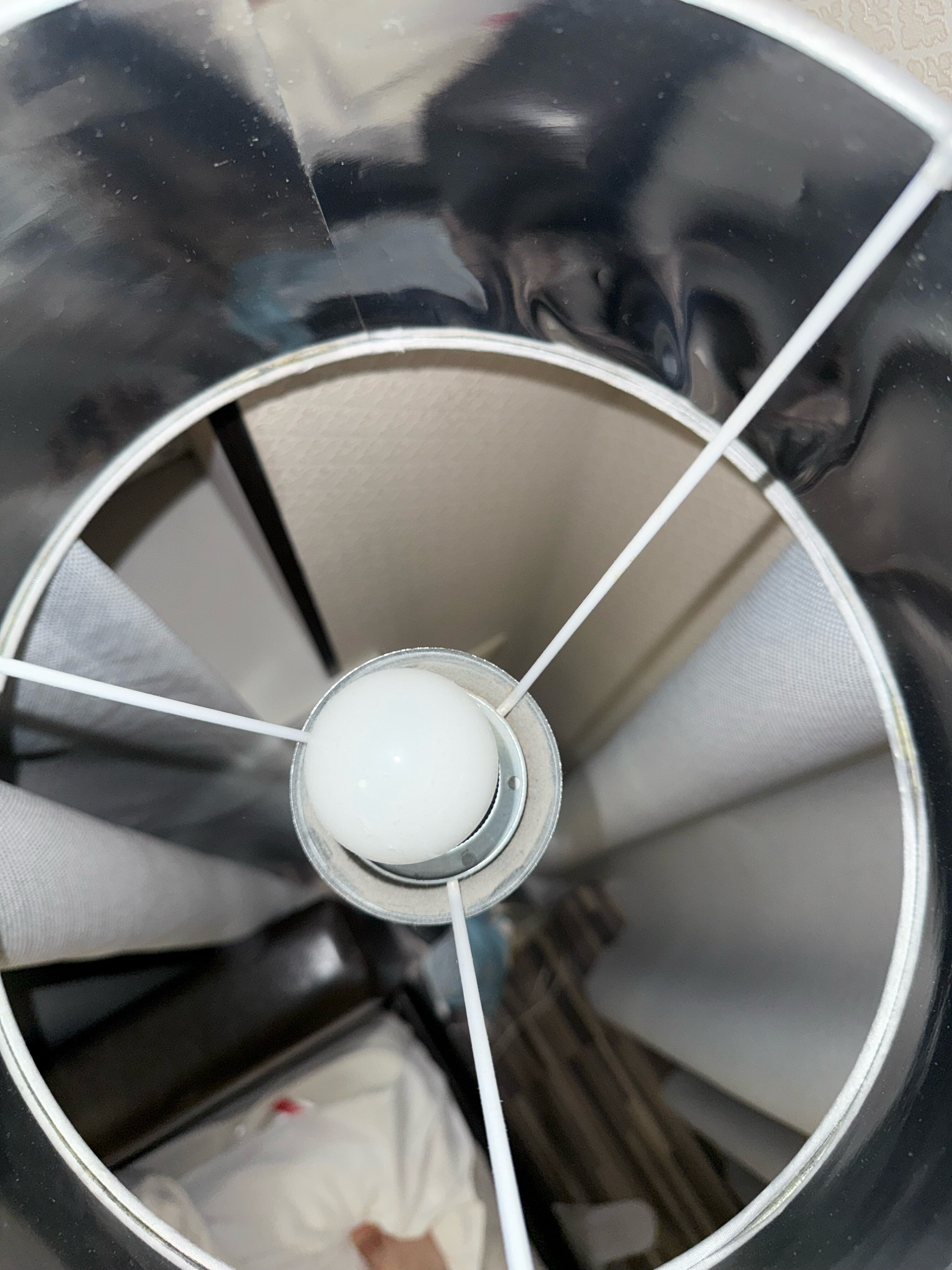 Фото Палацио