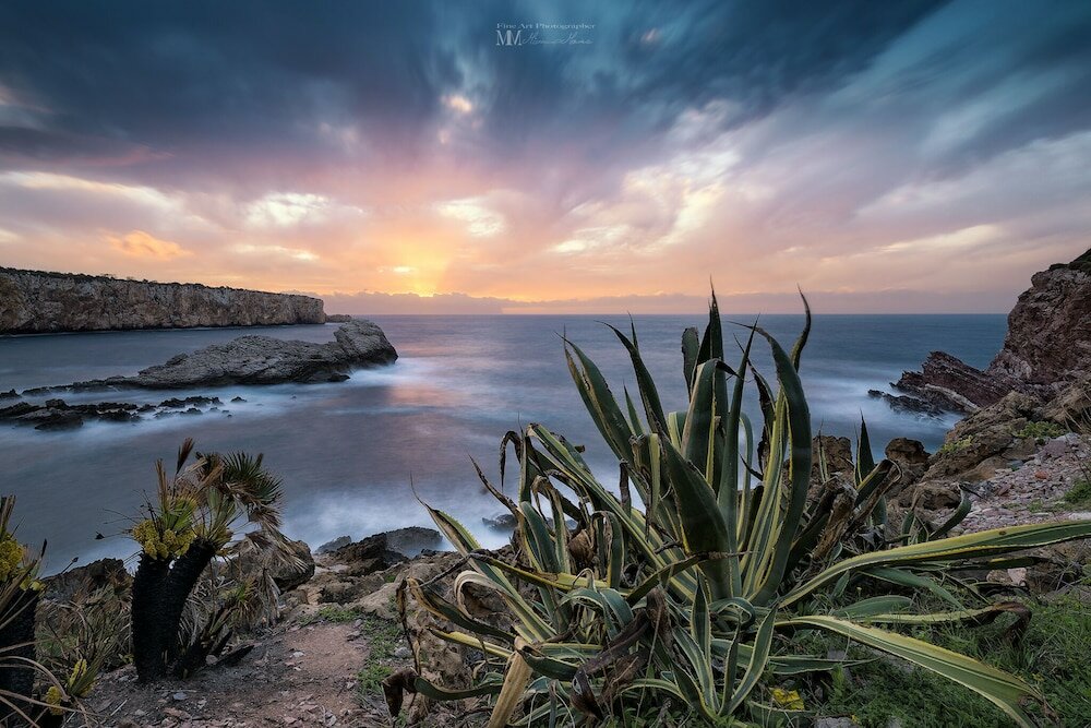 Фото Bed & Breakfast Le Oasi