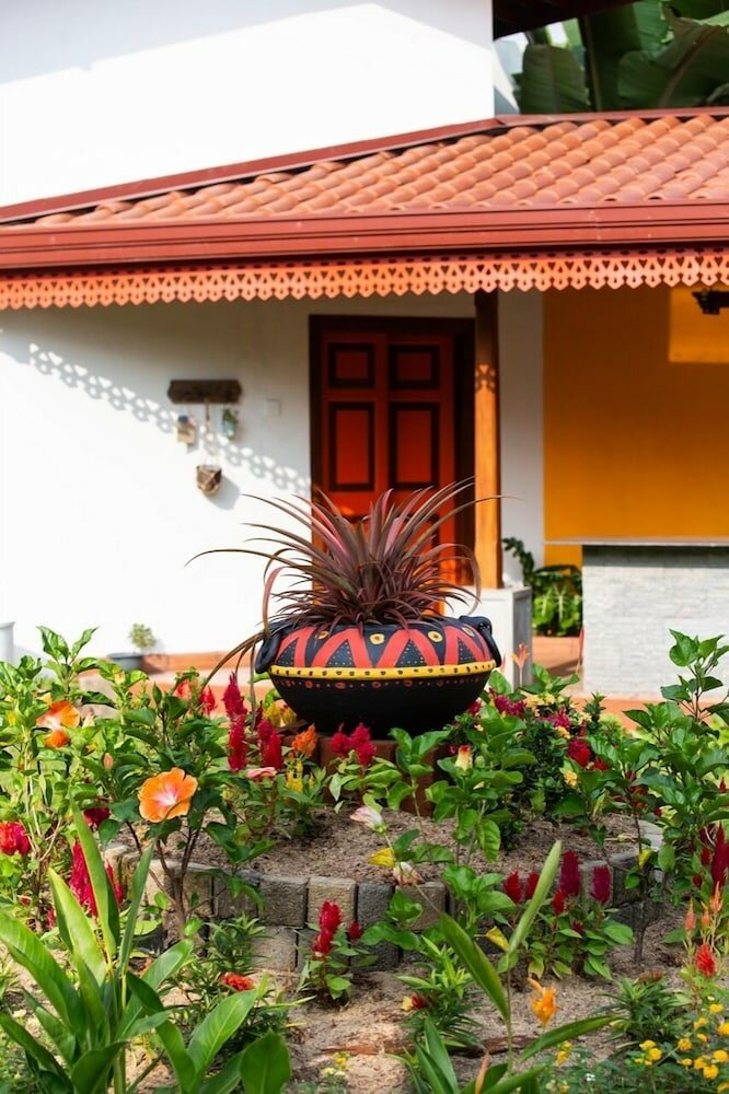 Фото Breeze of Paradise