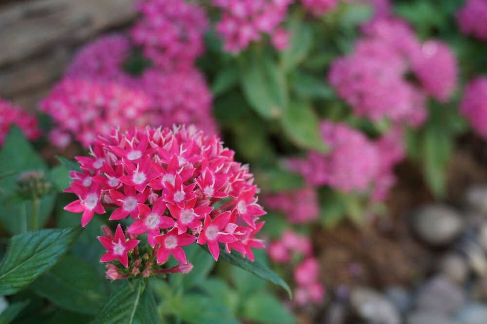 Фото Chompu Nakarin Apartment