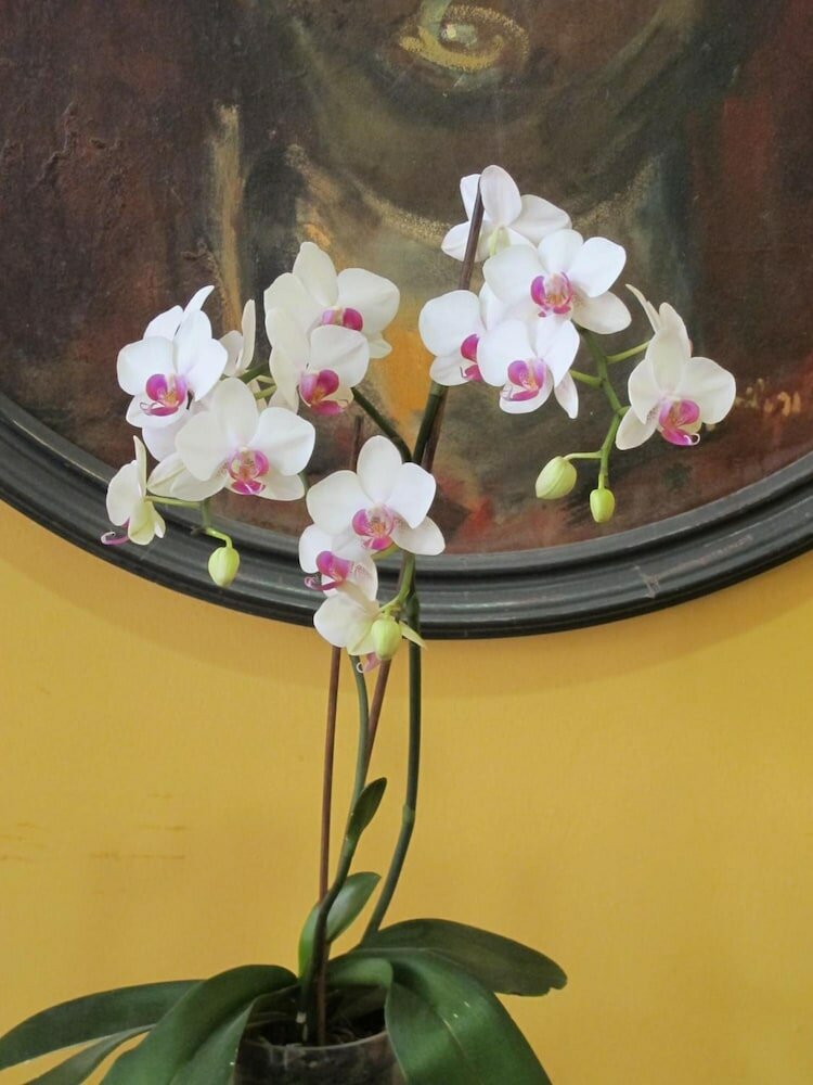 Фото Hotel Ciudad De Calahorra