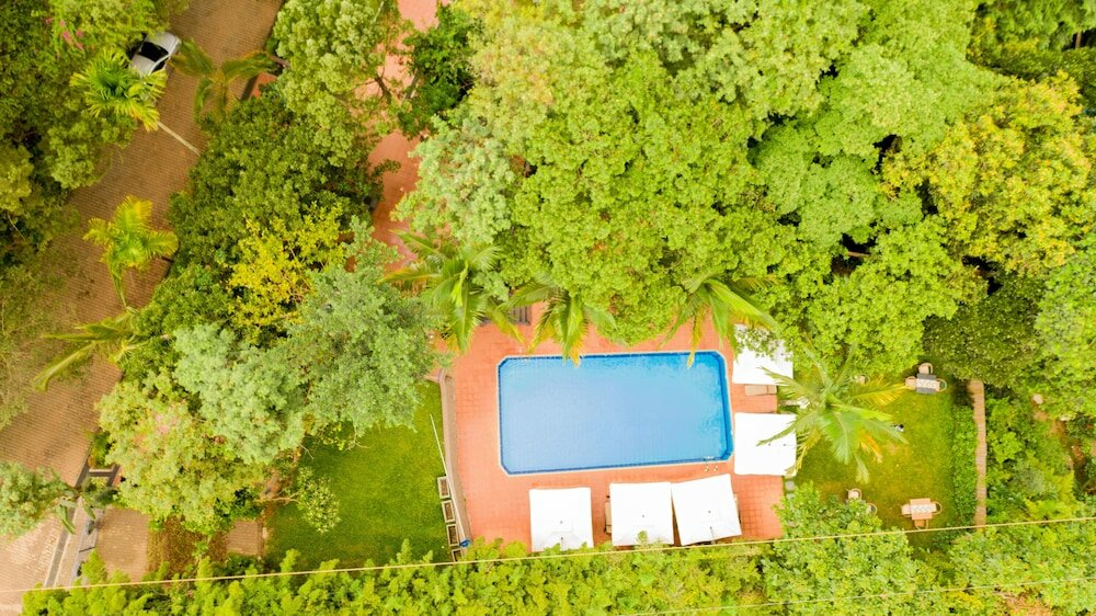 Фото Forest Cottages