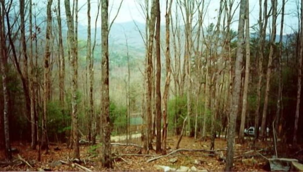 Фото Nantahala Cabins