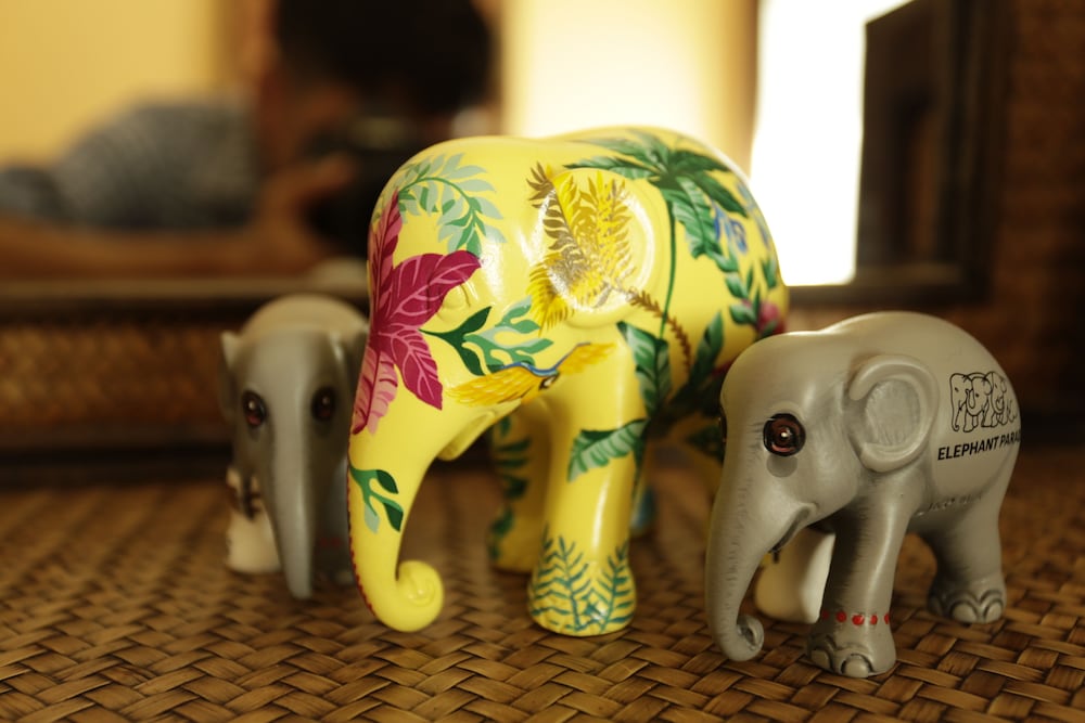 Фото Guesthouse Liam's Suan Dok Mai