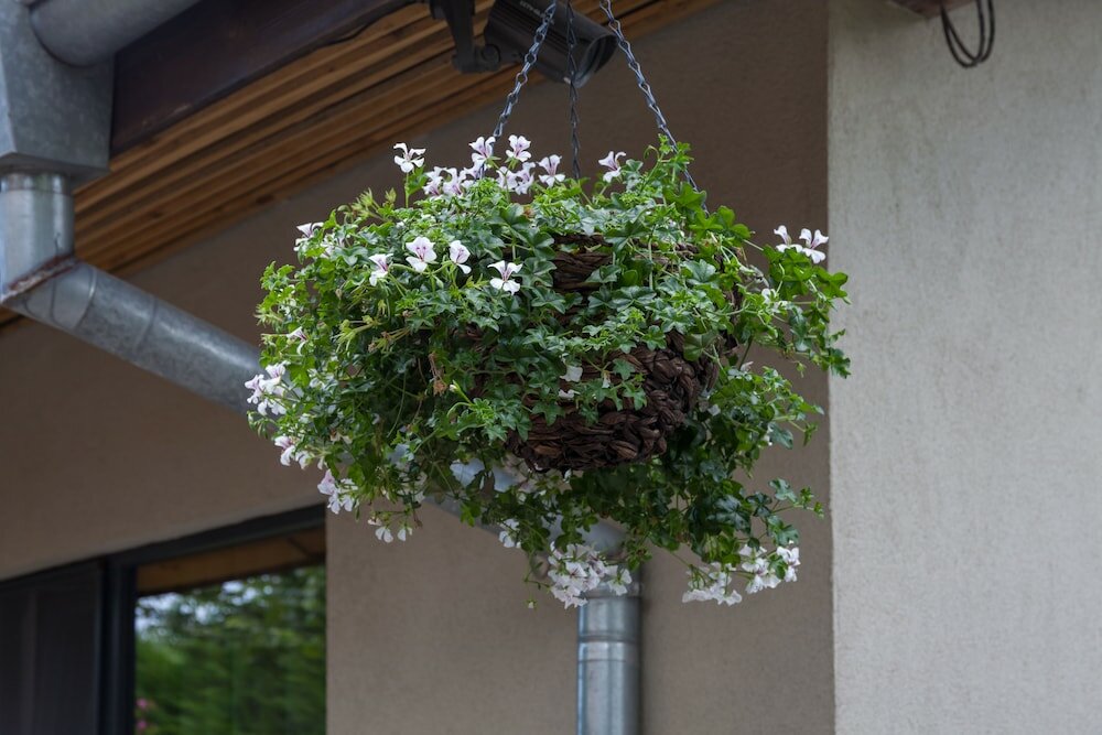 Фото Cherry Tree Cottage