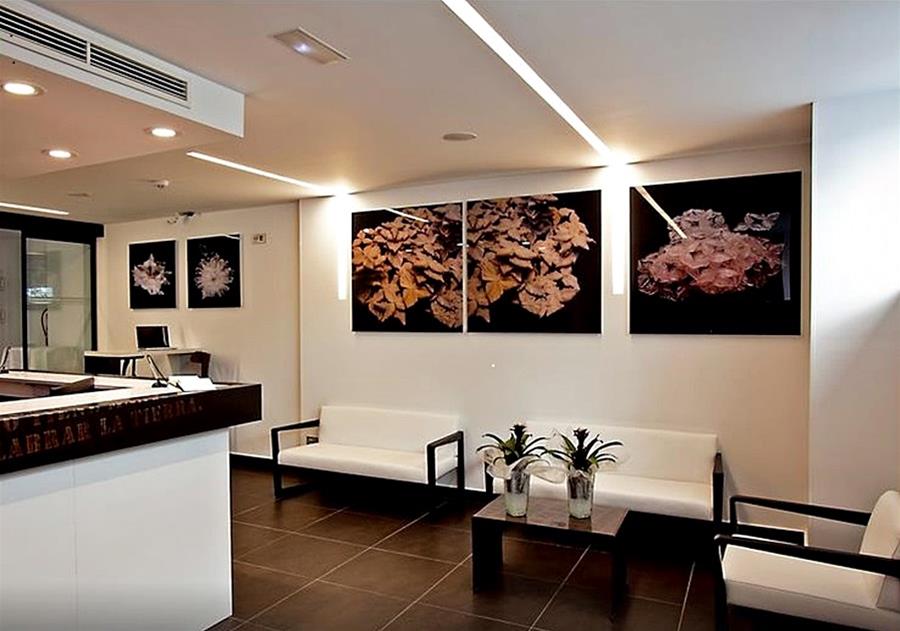 Фото Hotel Apolonia