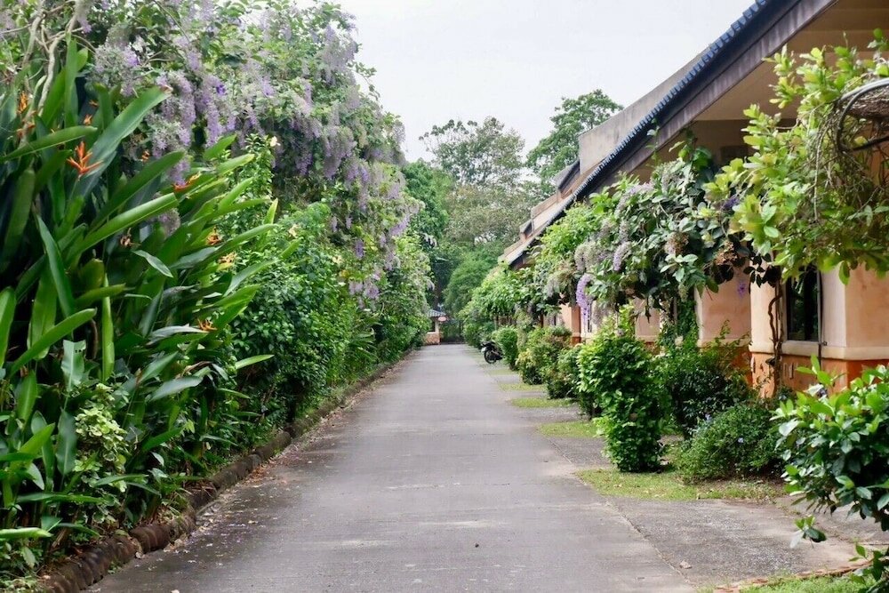 Фото Palm Chalet Resort