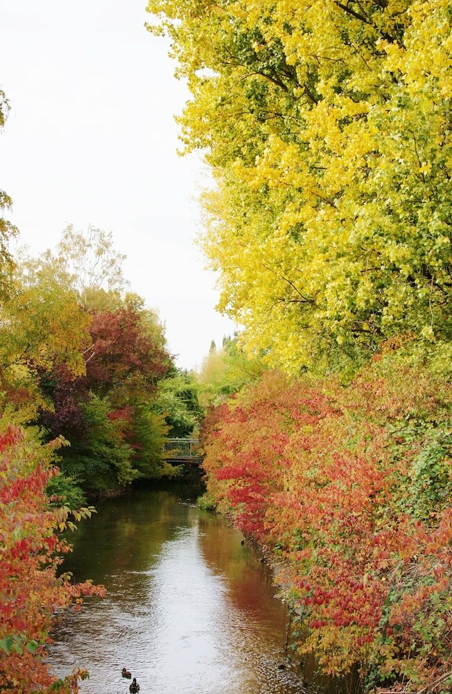 Фото Taste Hotel Hockenheim