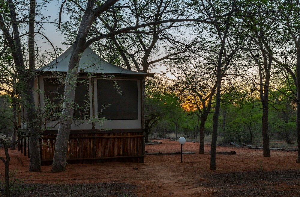 Фото Iphofolo Lodge