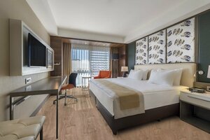 Гостиница Holiday Inn Kayseri - Duvenonu