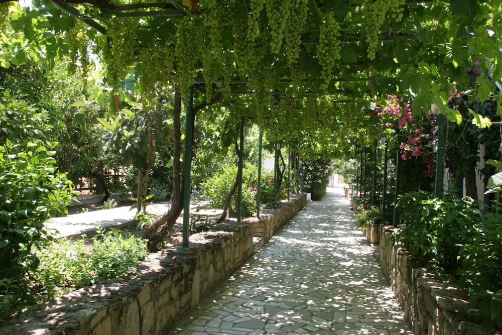 Фото Armonia Hotel