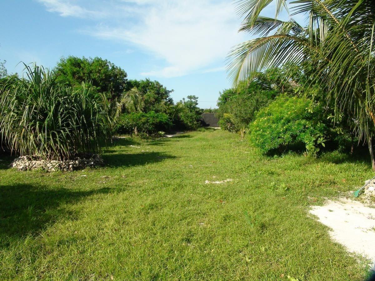 Фото Crim Wind Freedom