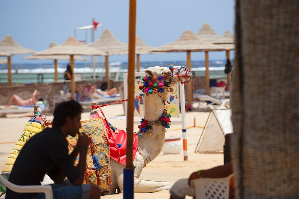 Фото Concorde Moreen Beach Resort & SPA