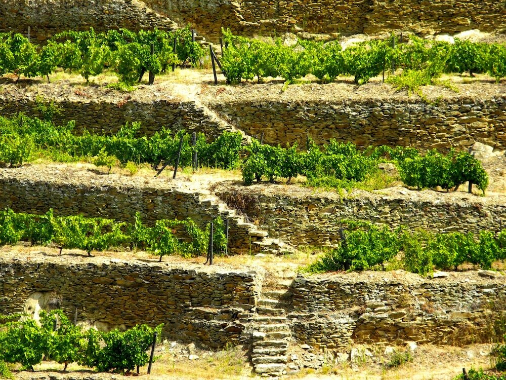 Фото Hotel Rural Quinta do Silval