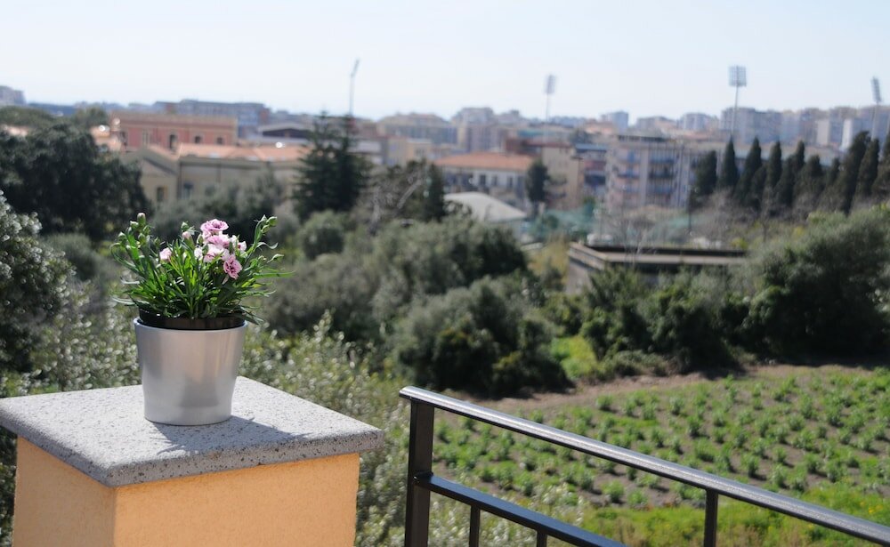 Фото La Circumetnea B&b