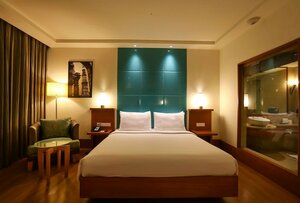 Гостиница Radisson Blu Hotel Chennai City Centre