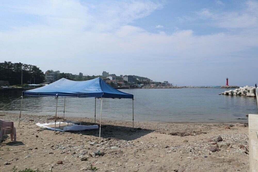 Фото Damoa Pension