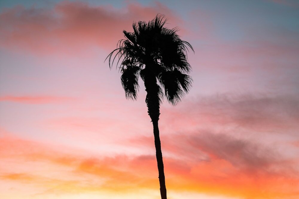 Фото Del Mar Motel on the Beach