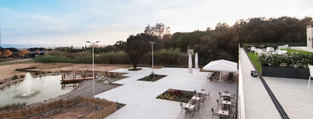 Фото Sorli Emocions