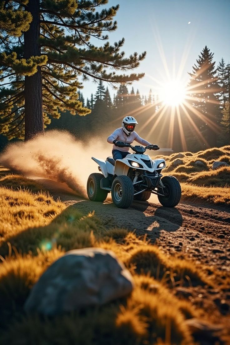 Фото Лаванда