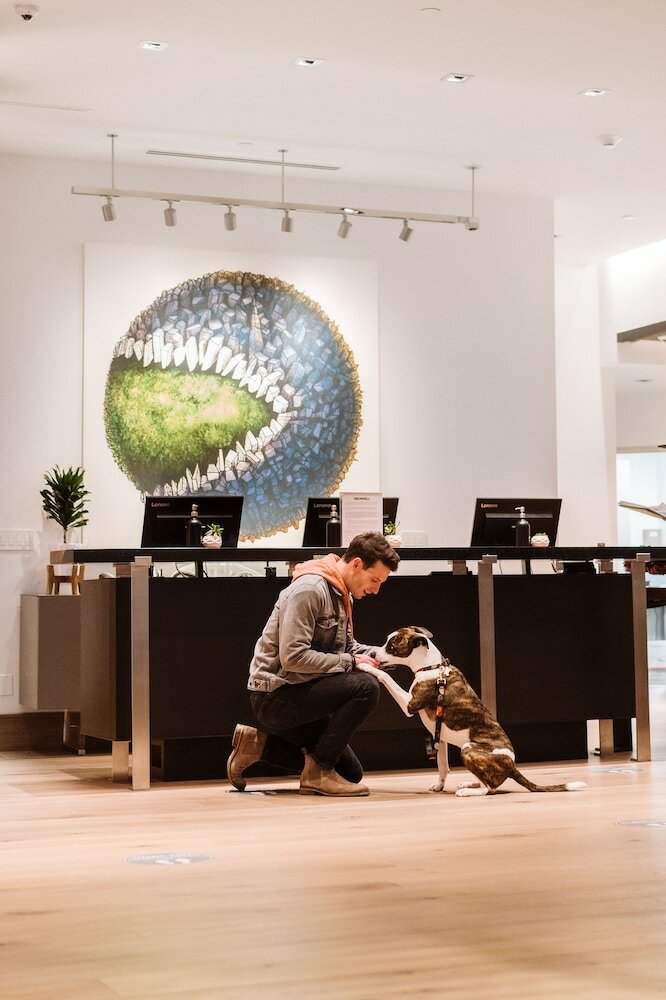 Фото The Bidwell Marriott Portland