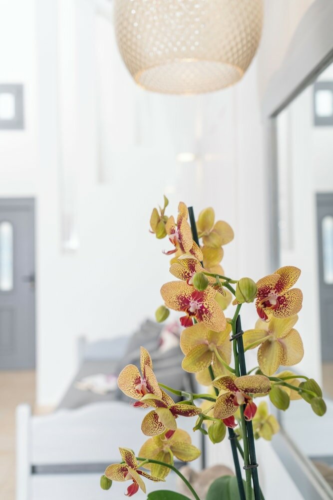 Фото Smaragdi Hotel