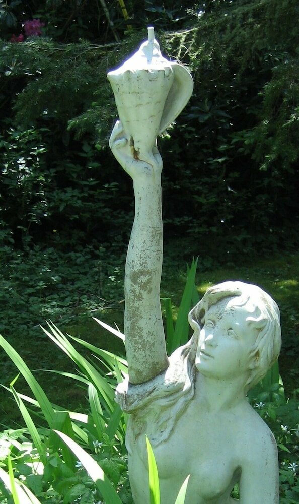 Фото Shakti Cove Cottages