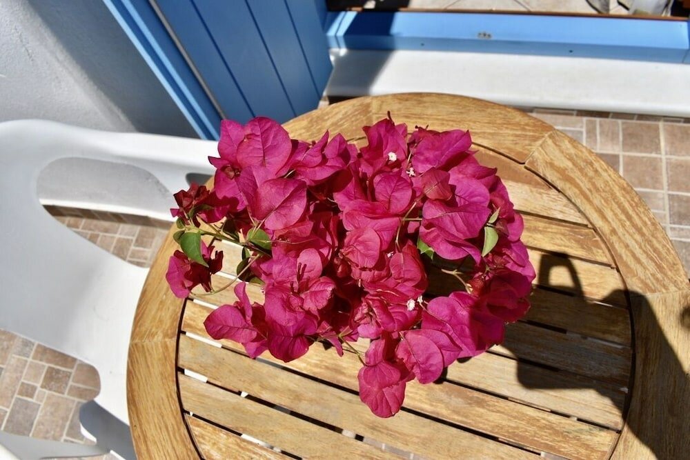 Фото Minoa Hotel