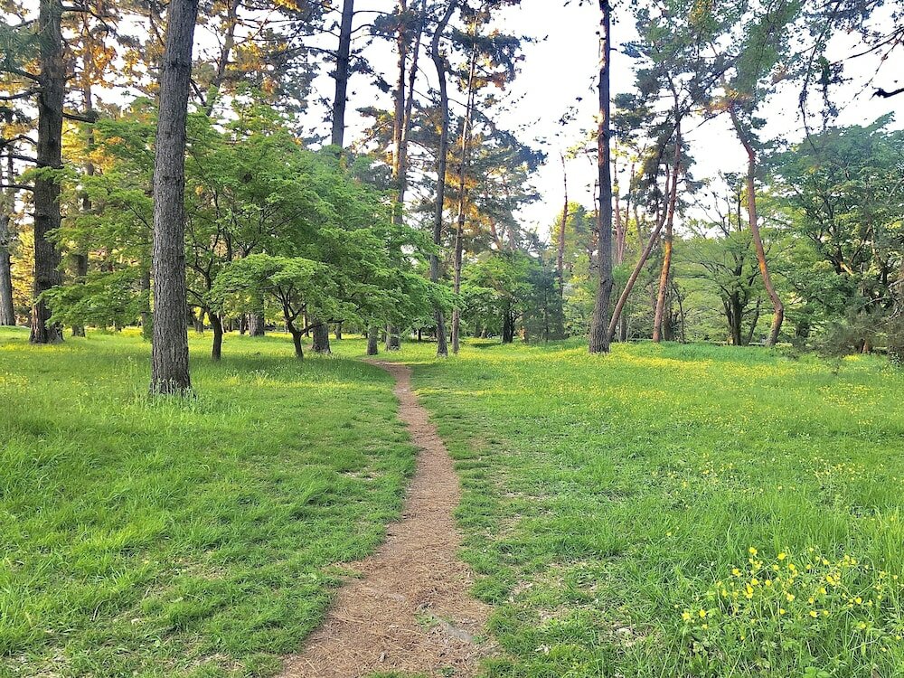 Фото Resi Stay Jisco Hotel Kyoto Goshonishi