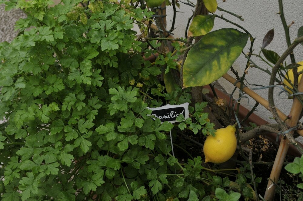 Фото B&b V&v Suite & Breakfast