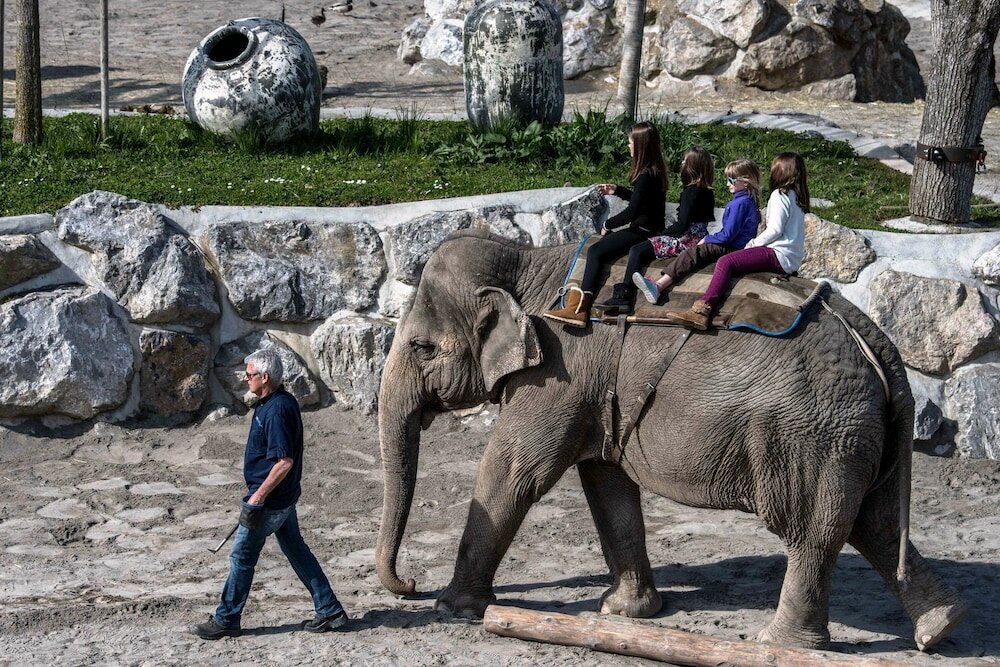 Фото Sorell Hotel Speer