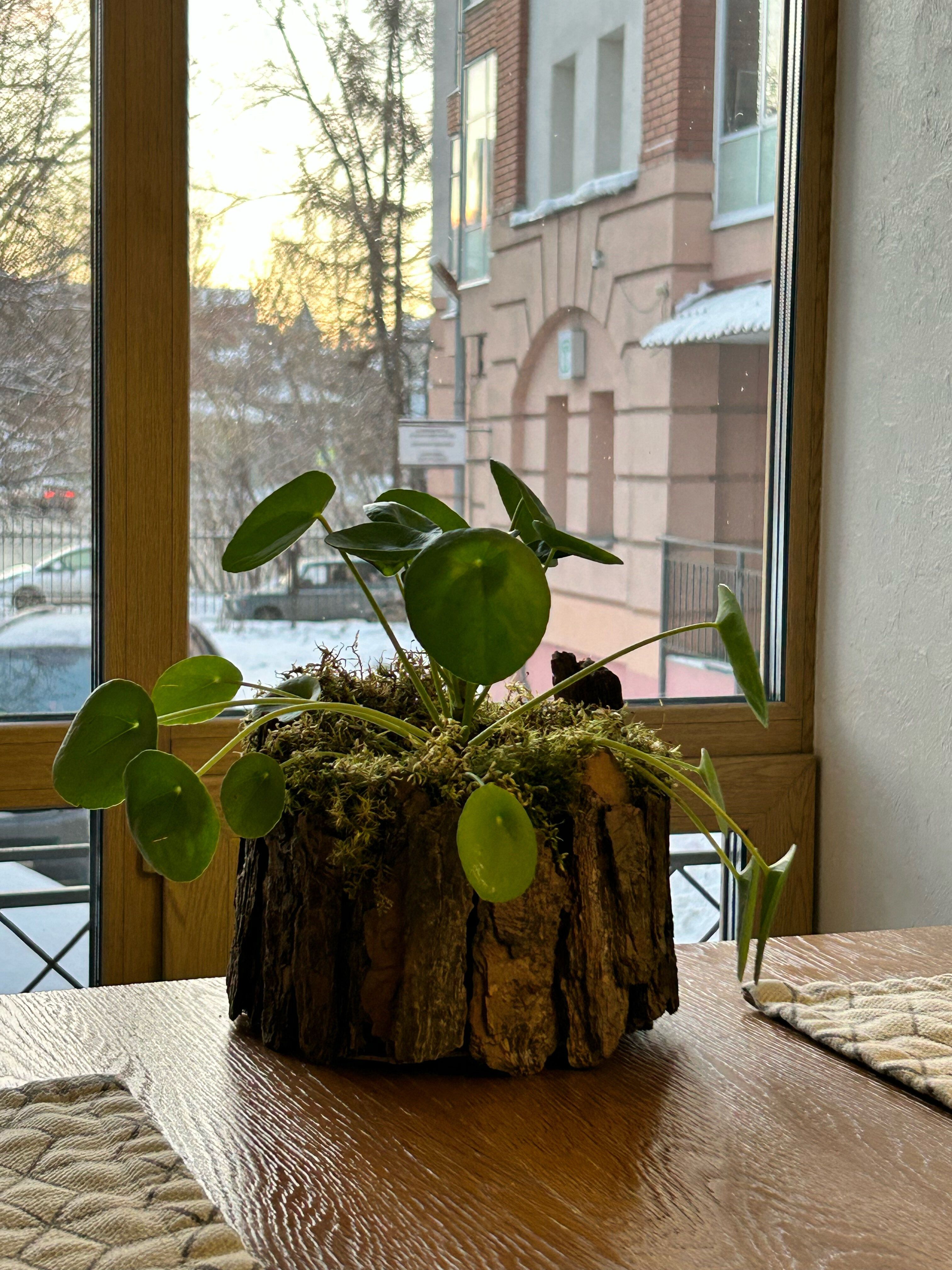 Фото Скандинавия