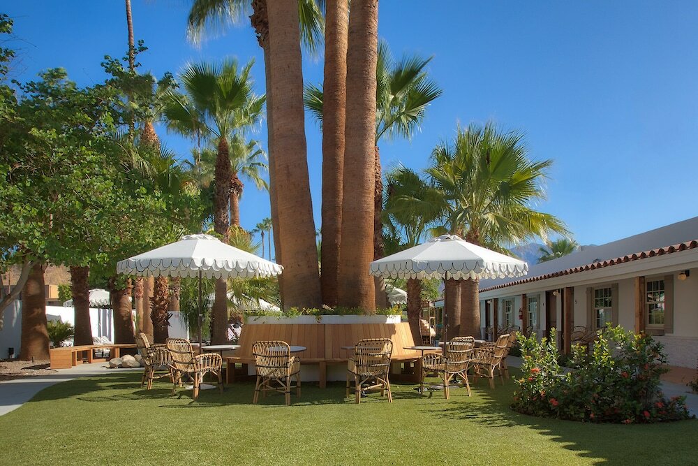 Фото Dive Palm Springs