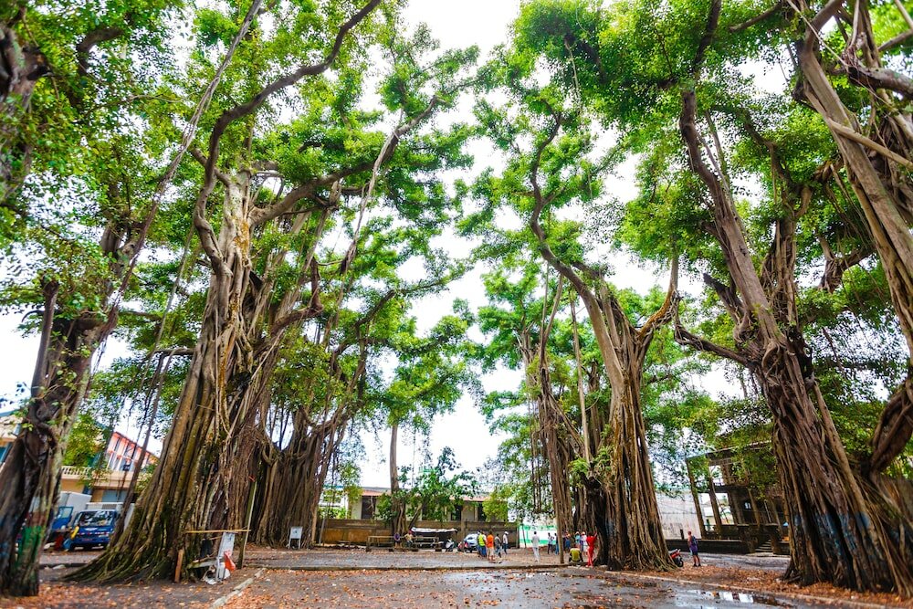 Фото Hotel Calypso