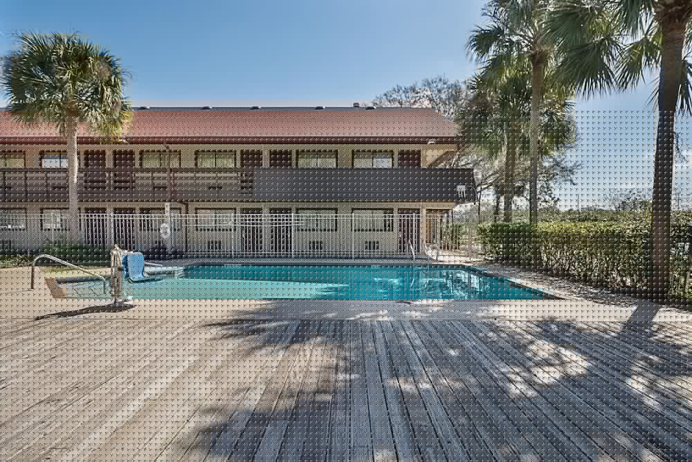 Фото Rodeway Inn Tampa near Busch Gardens - Usf