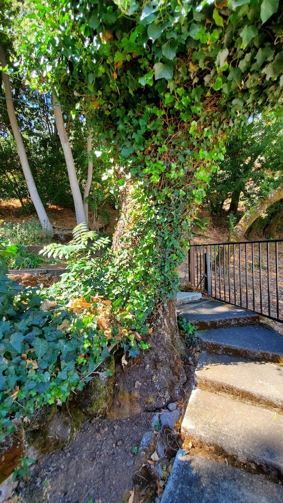 Фото Clear Lake Vista Resort