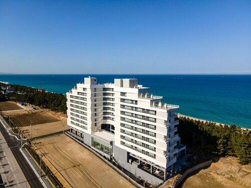 Гостиница PineАrt Label в Канныне