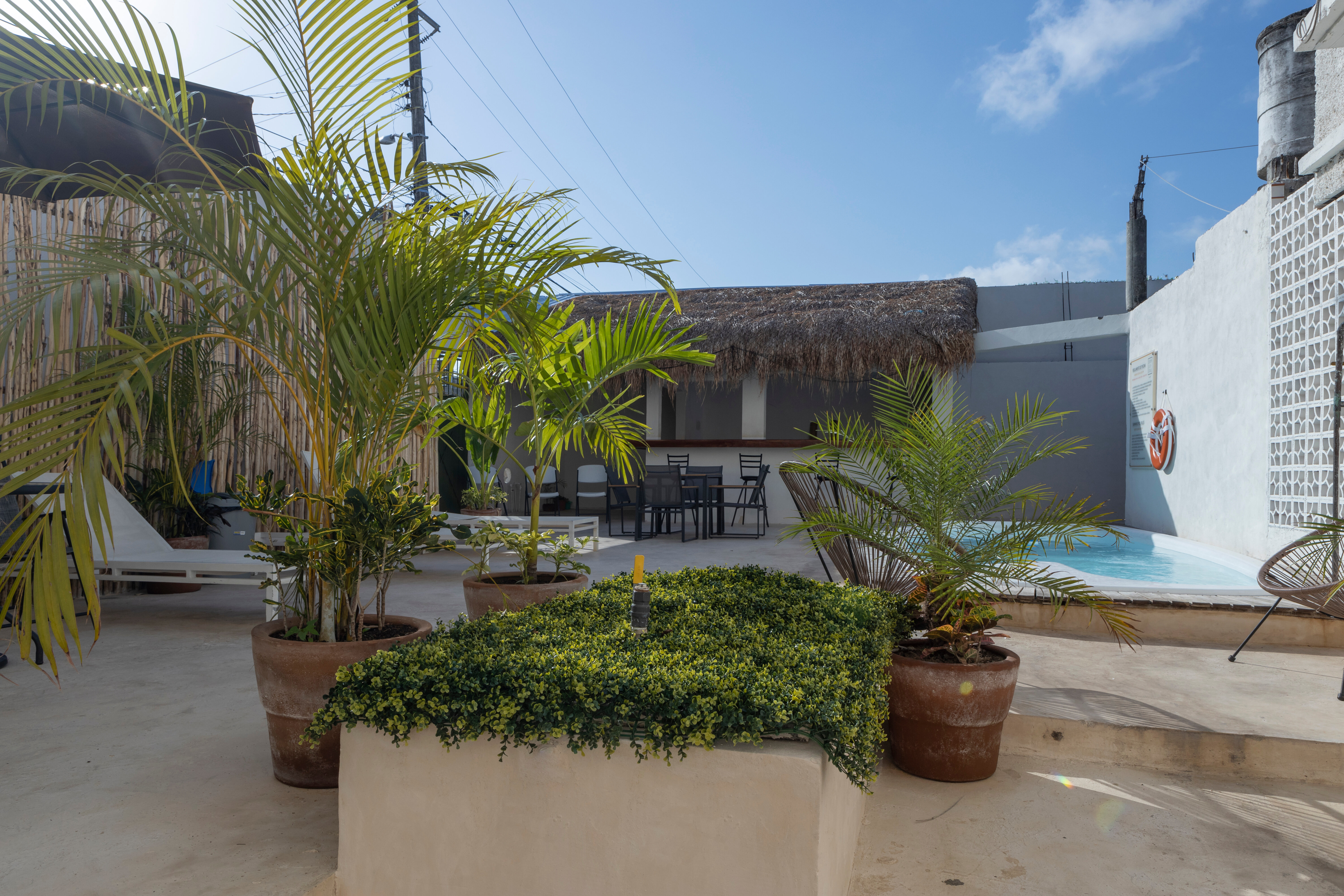 Фото Soy Local Cancun