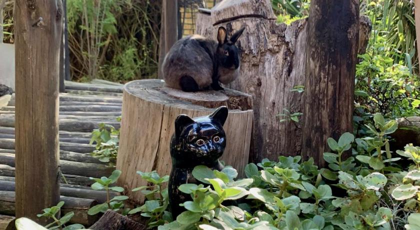 Фото The Little Hideaway